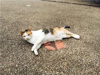 《潜行者2：切尔诺贝利之心》玩家人数突破600万