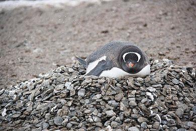 《最黑暗的童话》发售日预告 10月13日发售